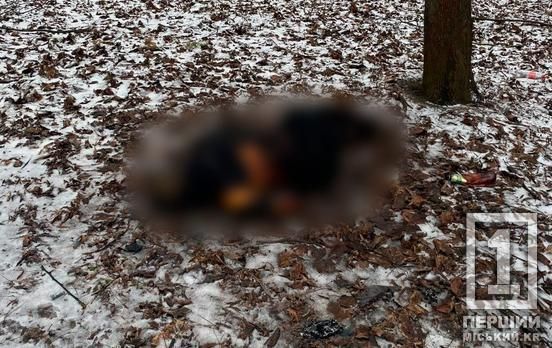 Надзвичайники виявили на місці згорілий труп Надзвичайники виявили на місці згорілий труп