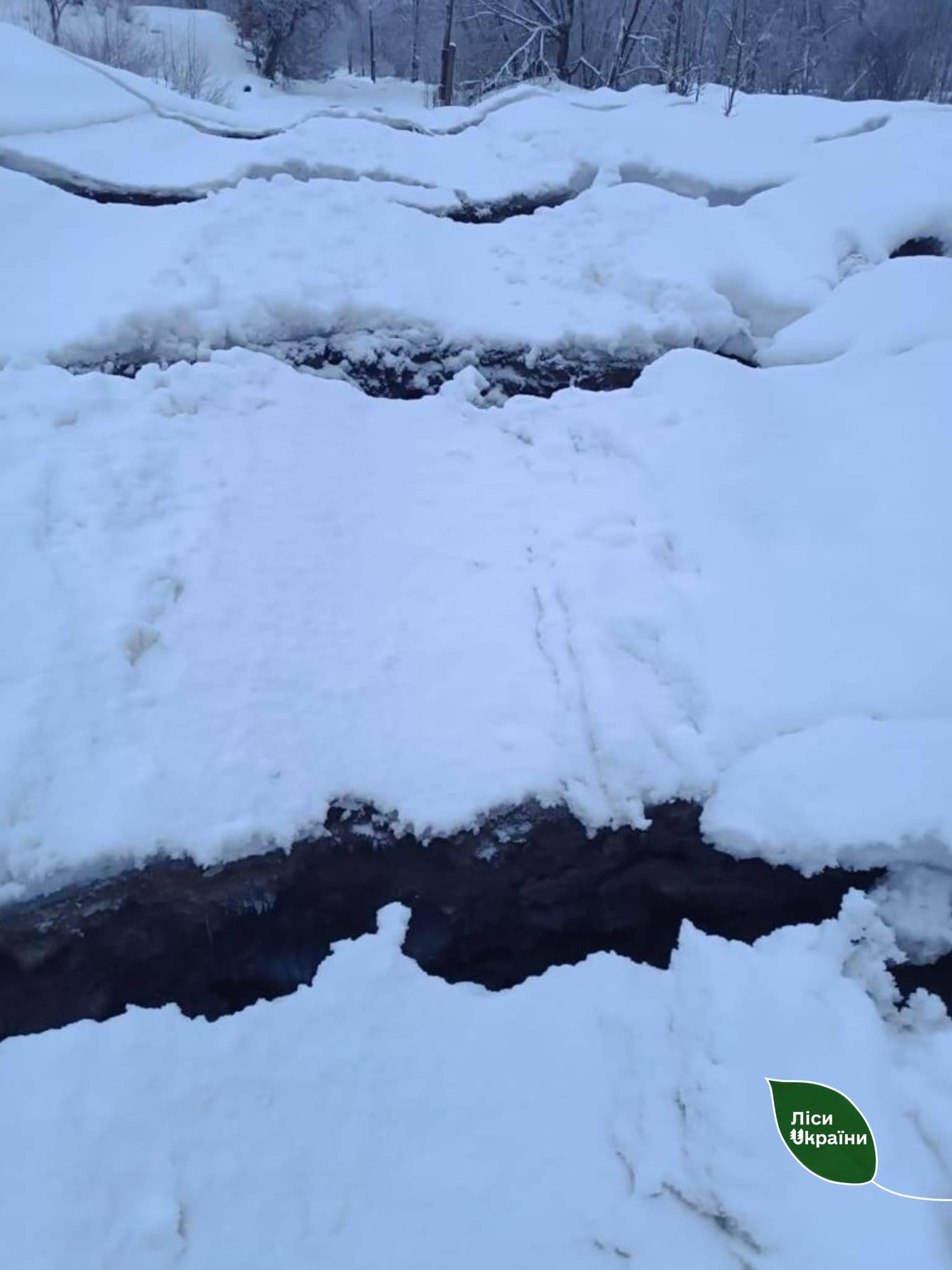 На Закарпатье произошел масштабный оползень: есть пострадавшие домохозяйства 2