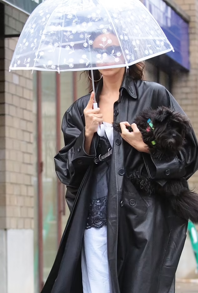 Звезда стритстайла Звезда стритстайла