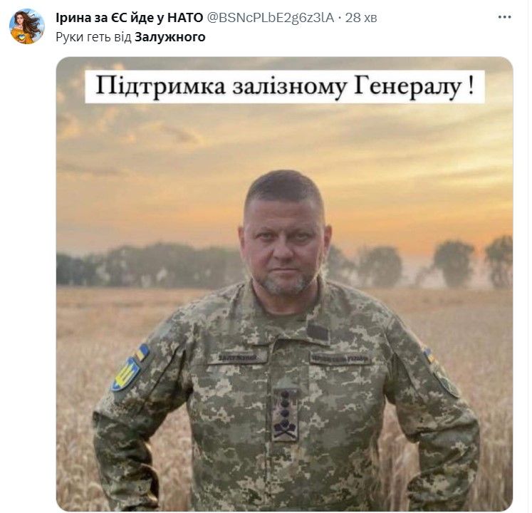 Від “нахрюків” до “Майдану-3”: як відреагували в соцмережах на “відставку” Залужного 1