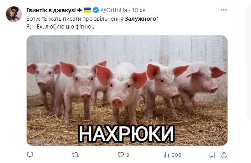Від “нахрюків” до “Майдану-3”: як відреагували в соцмережах на “відставку” Залужного 9