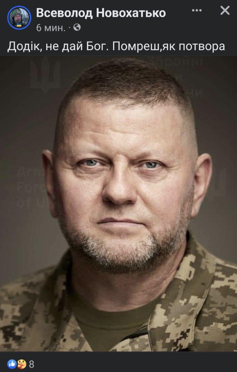 Від “нахрюків” до “Майдану-3”: як відреагували в соцмережах на “відставку” Залужного 5