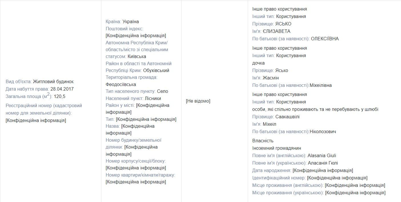 Яко задекларировала проживание из Саакашвили, но не дала дочери его фамилию 3