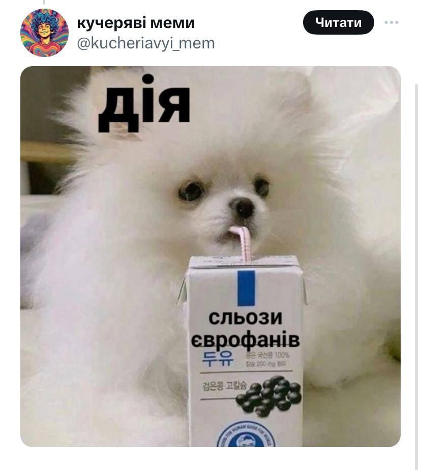 Молитви, подорожник та графік голосування: соцмережі вибухнули мемами після обвалу "Дії" через Нацвідбір на Євробачення 6
