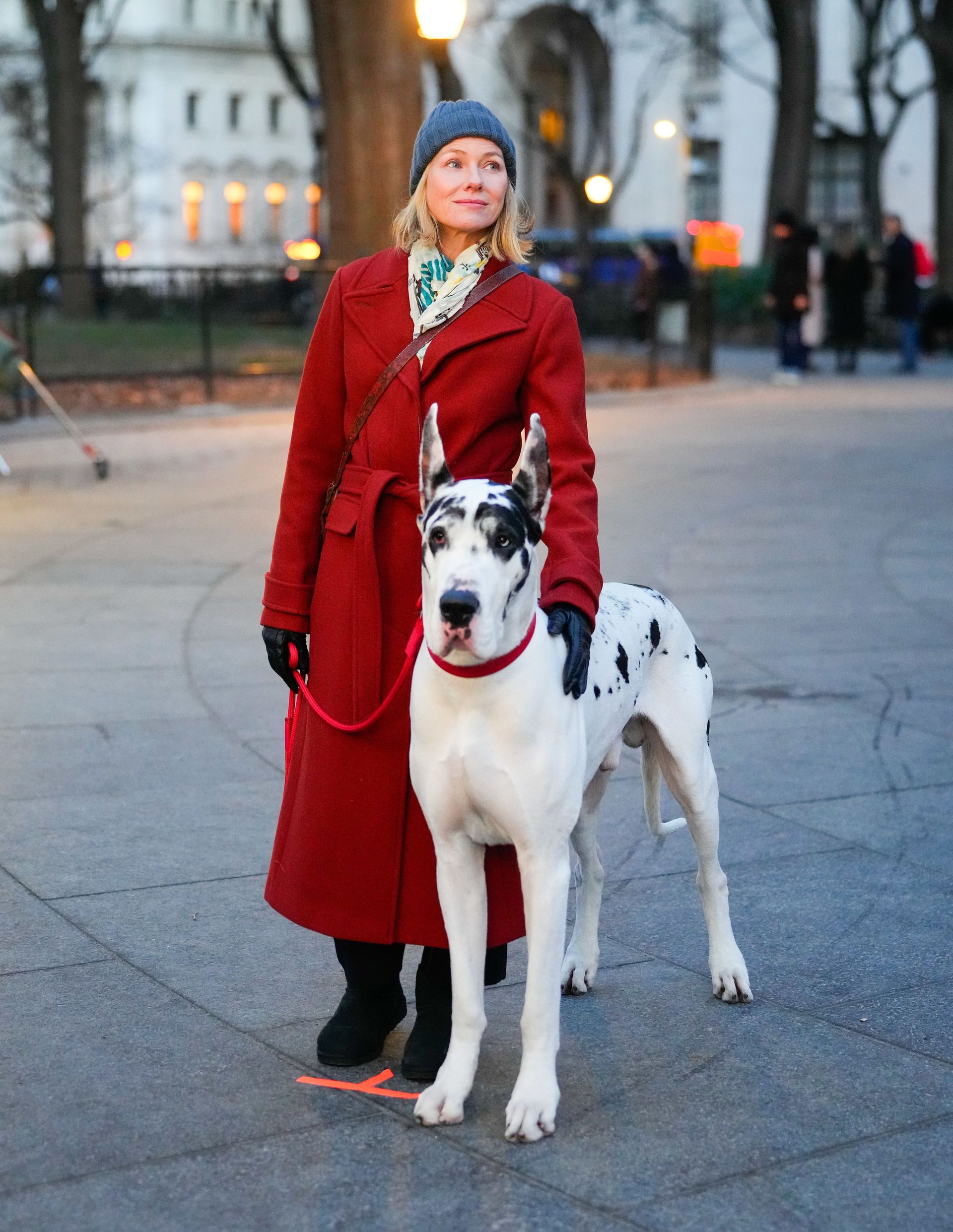У Наомі Воттс є не лише діти, а й собаки