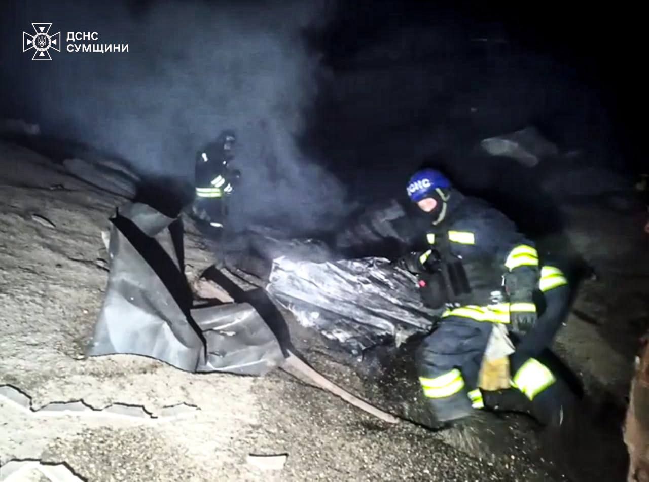 Працівники ДСНС рятують насіння соняшника