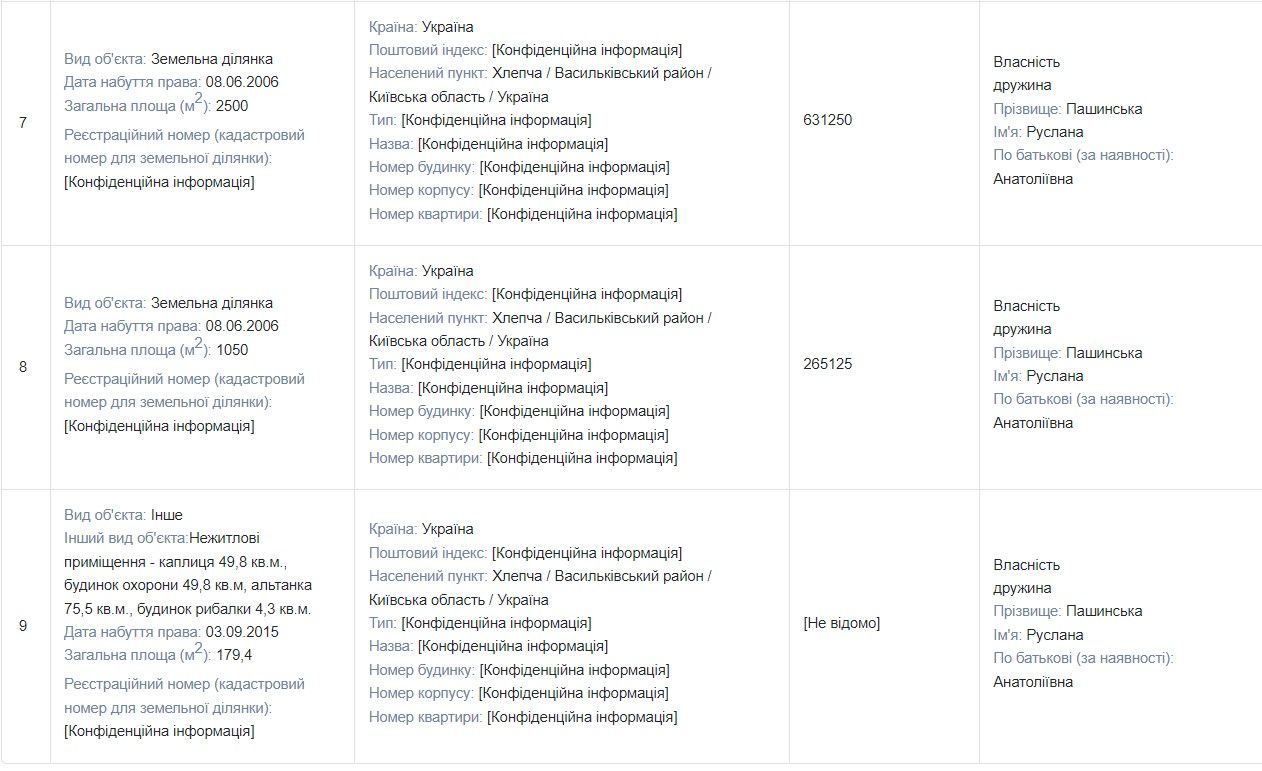 З декларації Сергія Пашинського