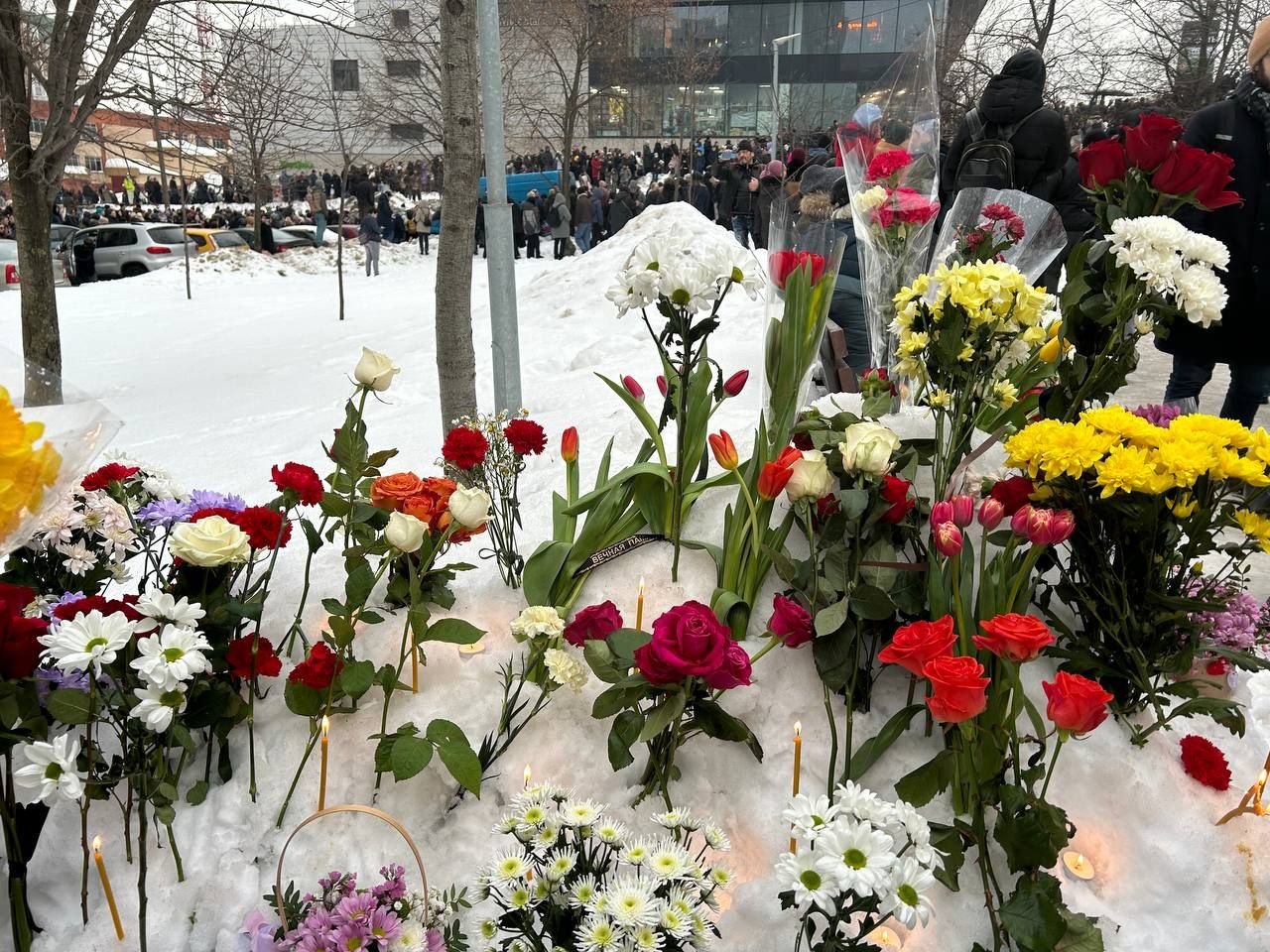 Люди создали мемориал из цветов