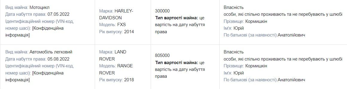 Із декларації Ірини Кормишкіної  Із декларації Ірини Кормишкіної