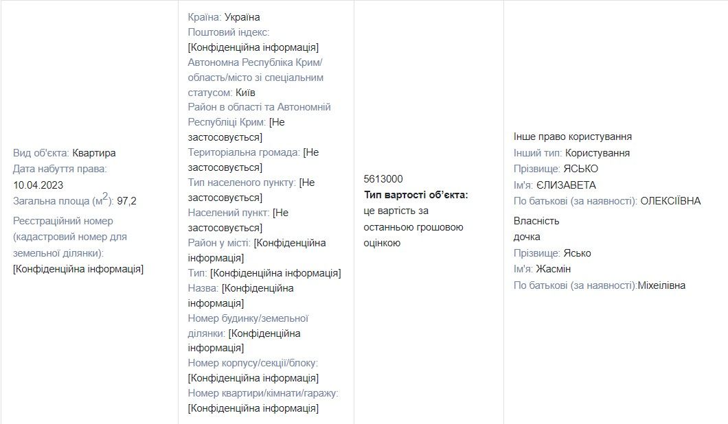 Из декларации Лизы Ясько Из декларации Лизы Ясько