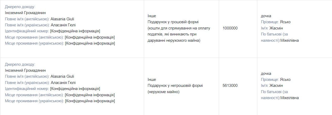 Из декларации Лизы Ясько Из декларации Лизы Ясько
