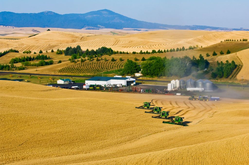 В США в 2023 году собрали мощный урожай зерновых. Фото: Getty Imagess