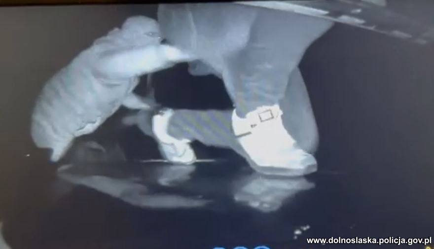 В Польше задержали трех украинцев, которые обворовывали грузовики во время движения 2