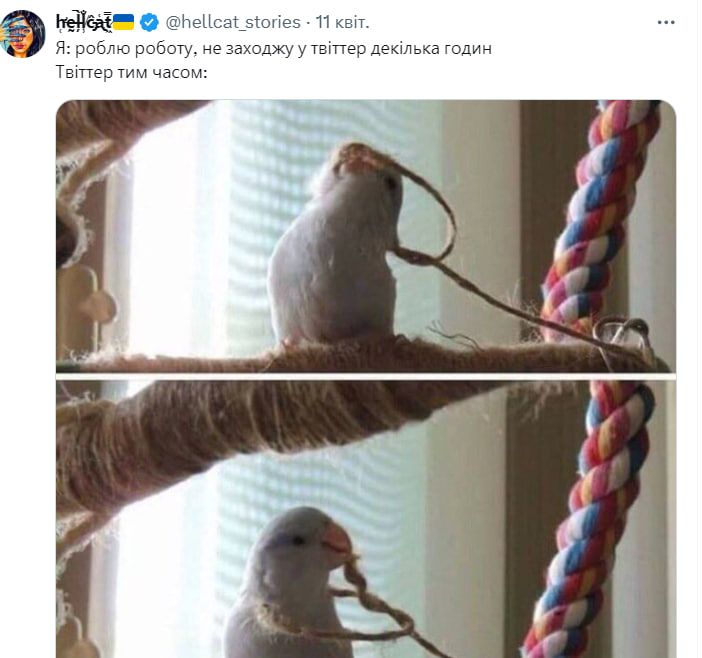 помиральна яма 8