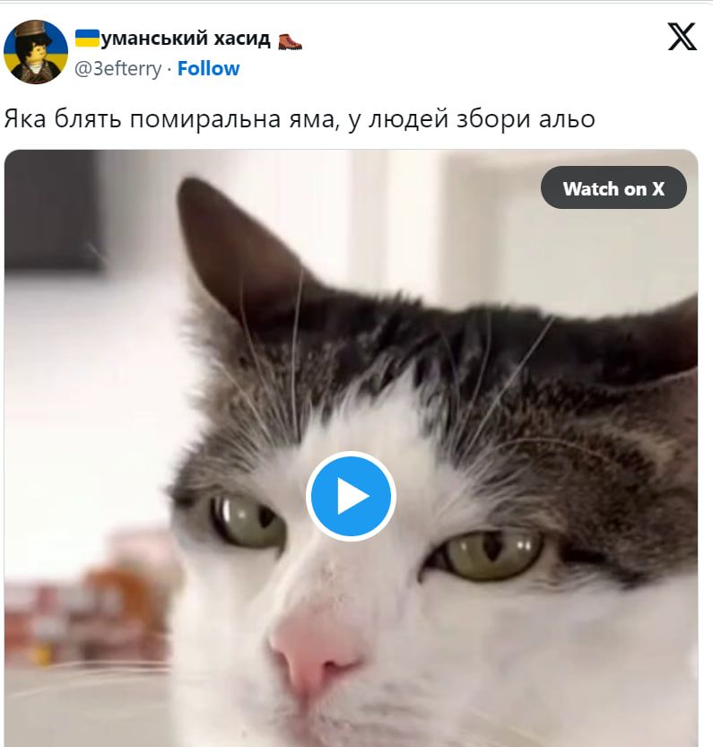 помиральна яма 7