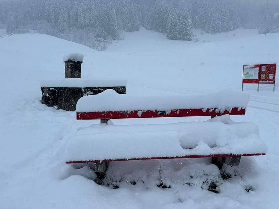 Європу накрив сніг: справжня зима посеред квітня прийшла у Болгарію, Хорватію і гірську частину Швейцарії 2