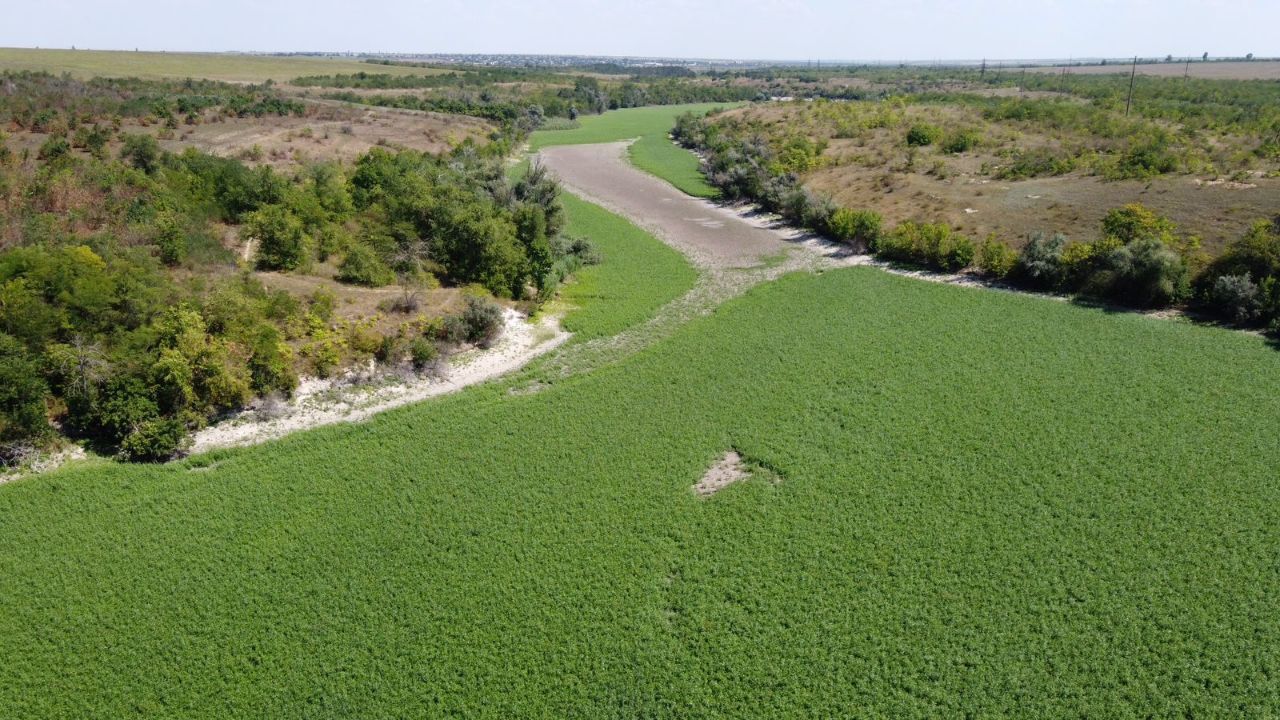 На місці Каховського водосховища формується нова екосистема На місці Каховського водосховища формується нова екосистема