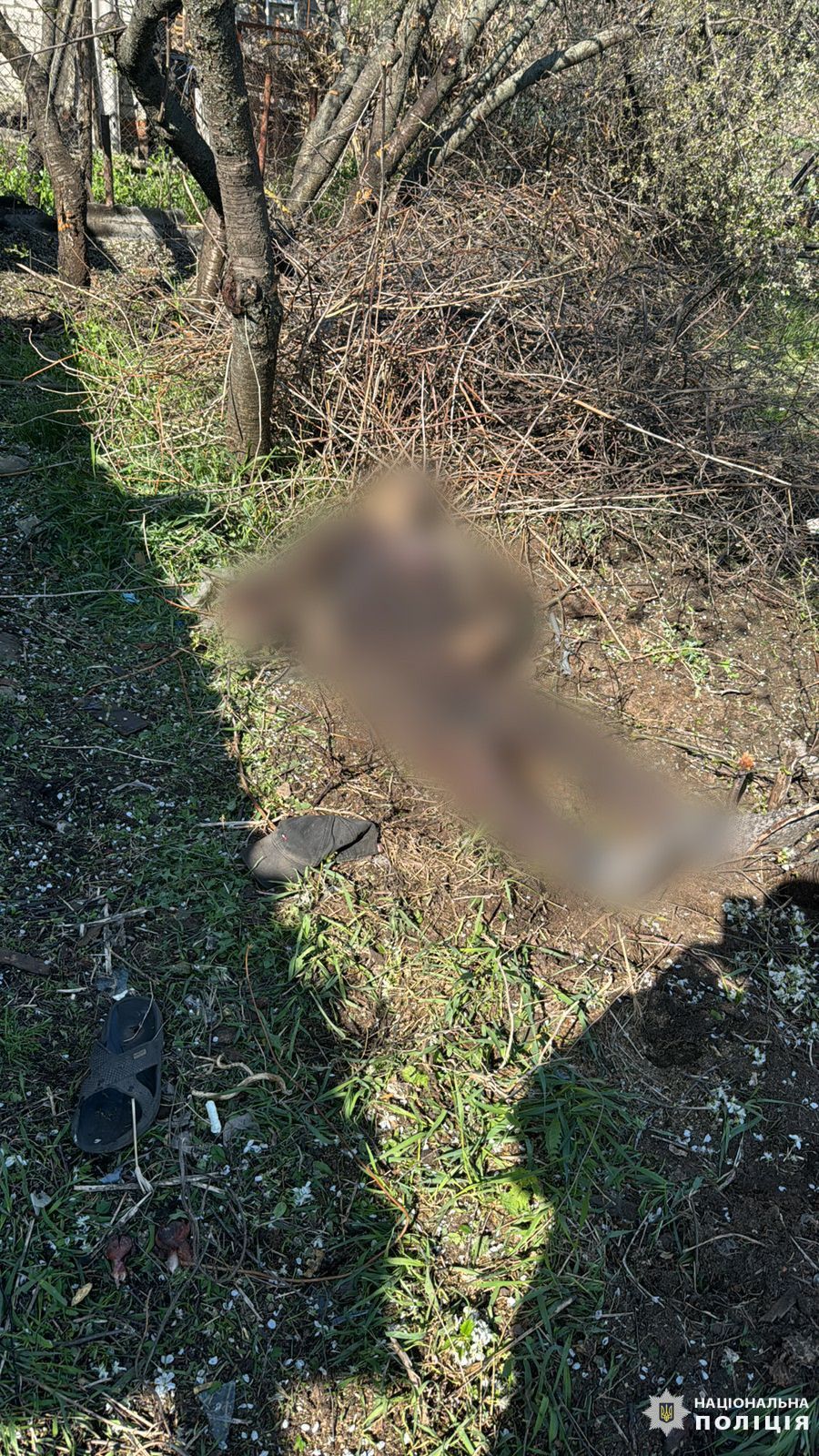 Чоловік загинув на городі  Чоловік загинув на городі