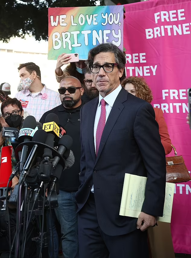 Мэттью Розенгарт, адвокат певицы Мэттью Розенгарт, адвокат певицы