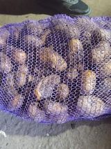 Гнила картопля для військових