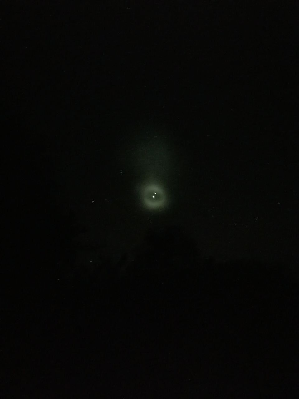 НЛО или Falcon 9: украинцы видели в небе необычное явление, мысли разделились (видео) 3