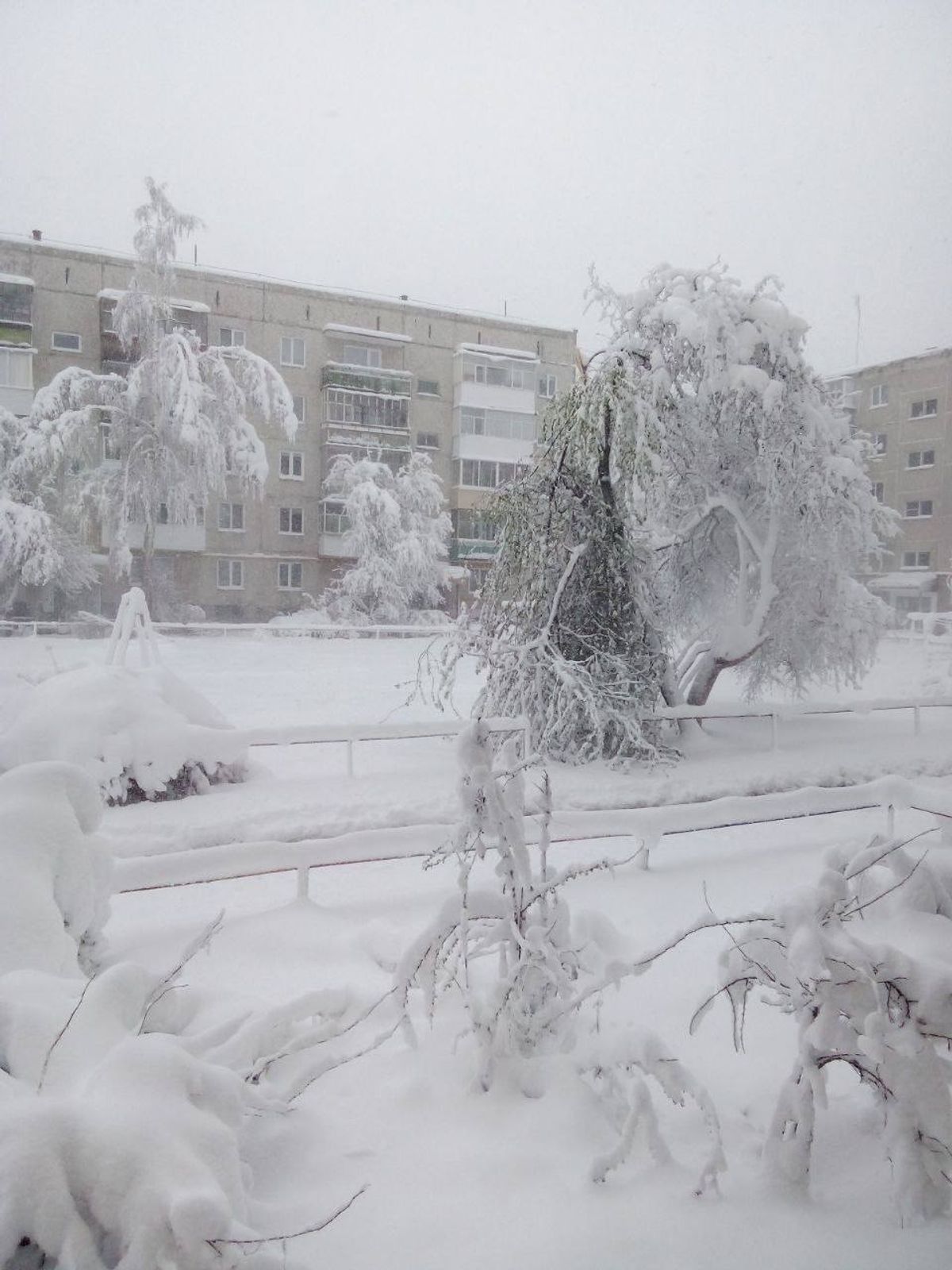 РФ накрило потужними снігопадами