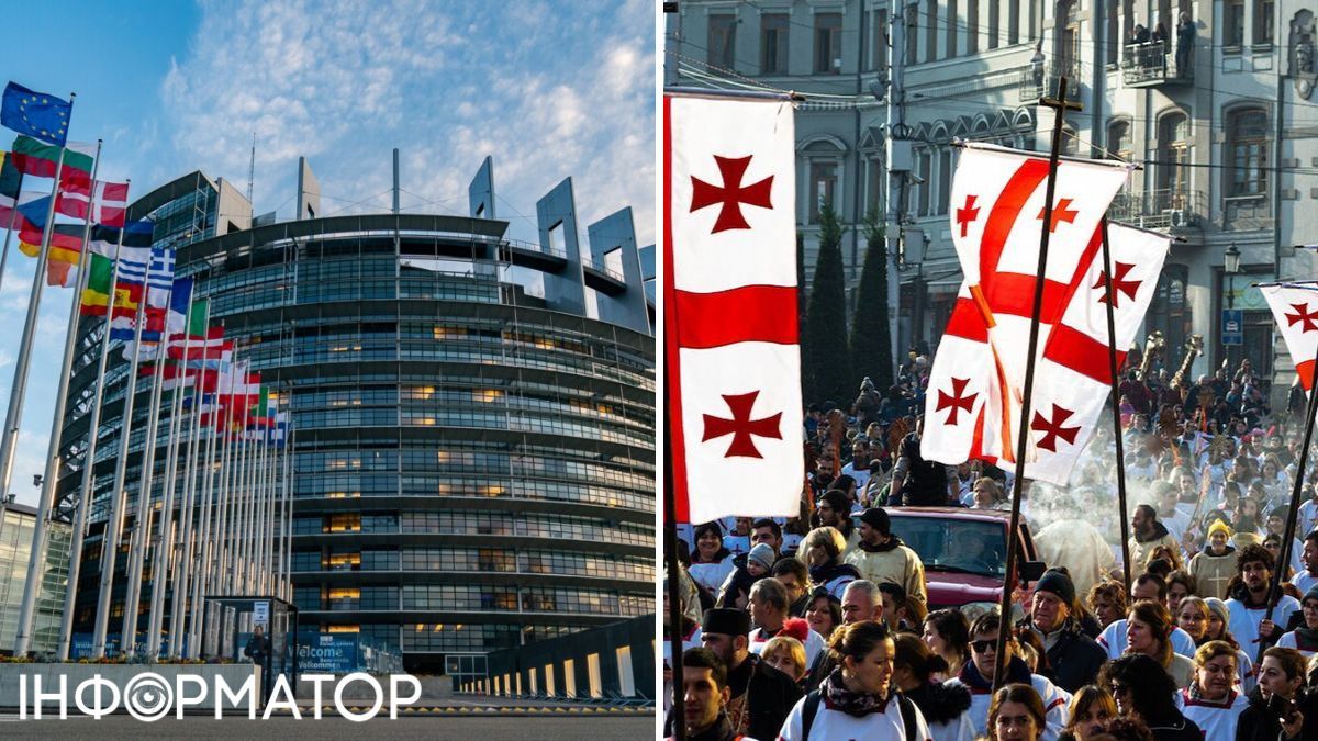 протесты в Грузии, Европарламент