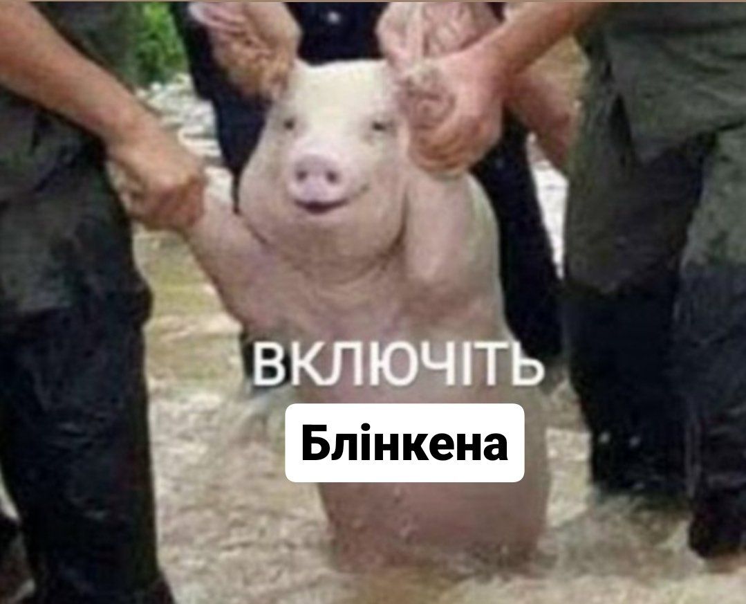 Блинкен 2
