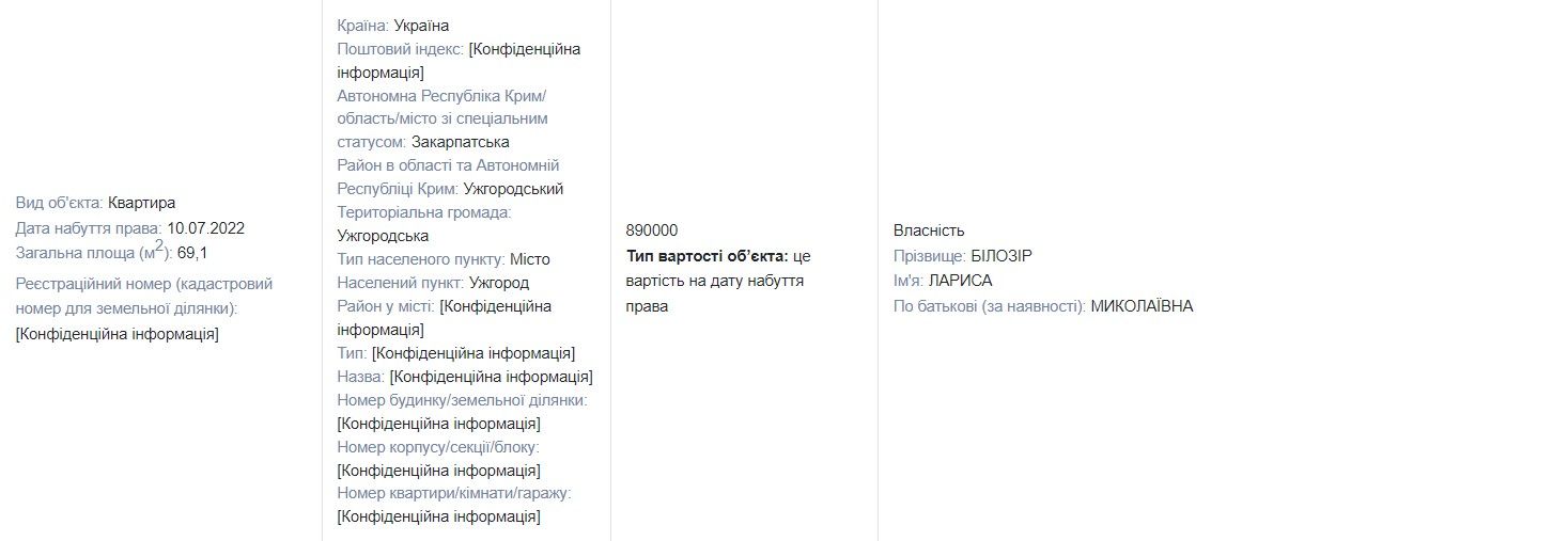 Из декларации Ларисы Билозир Из декларации Ларисы Билозир