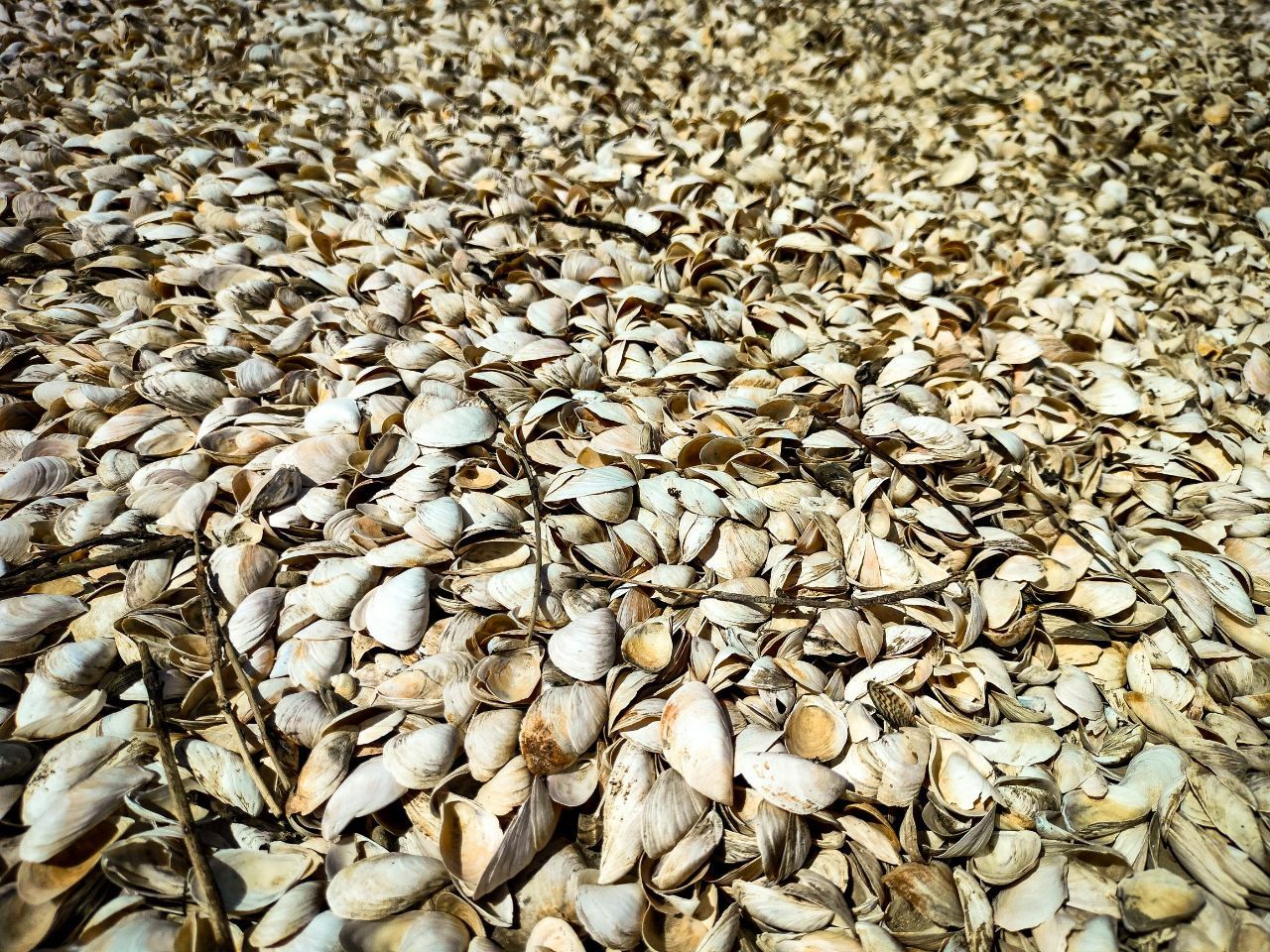 Фото: NE:Urban Фото: NE:Urban