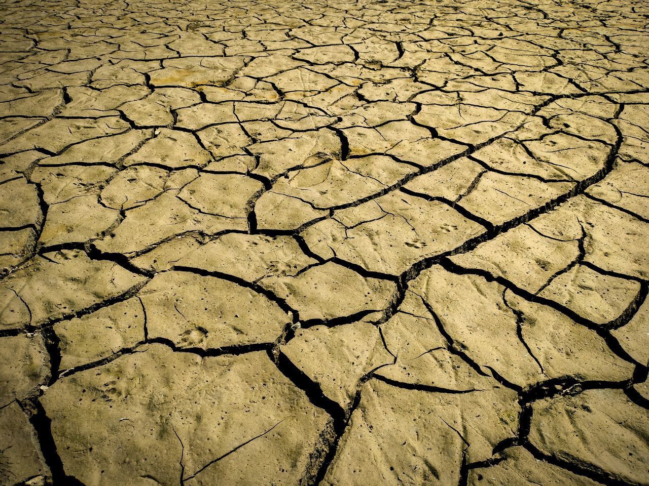 Фото: NE:Urban Фото: NE:Urban