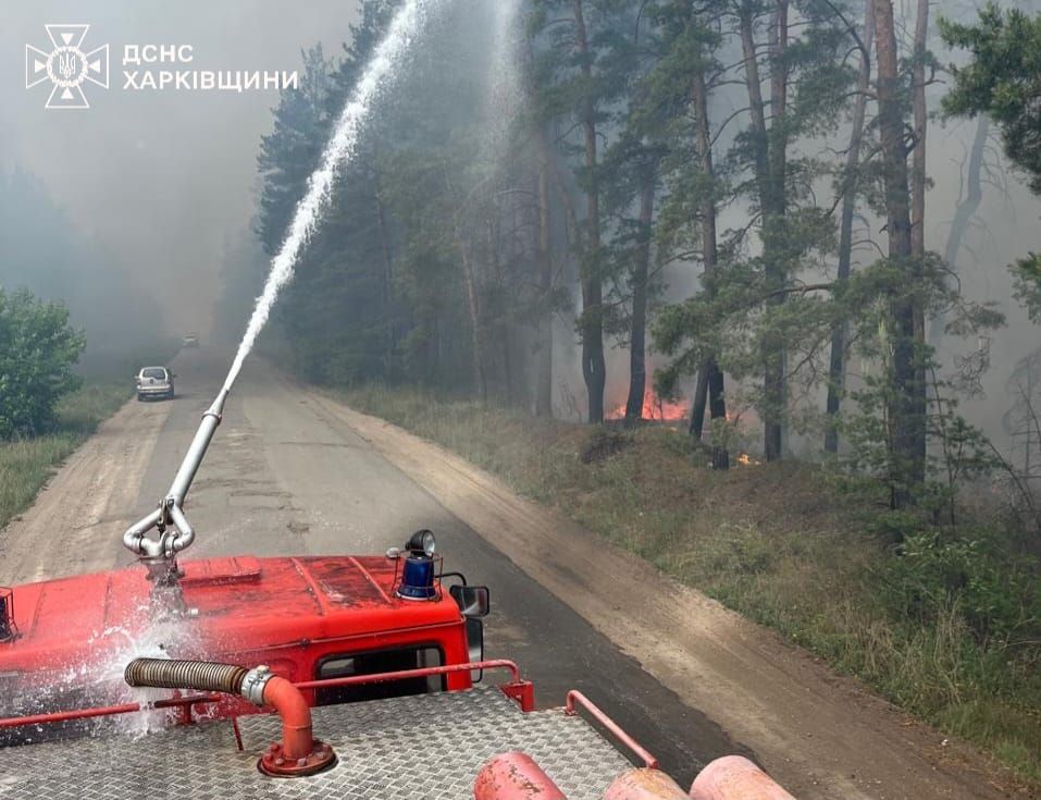 В Харьковской области спасатели борются с 9 лесными пожарами: огонь охватил почти 4 тыс. га 1