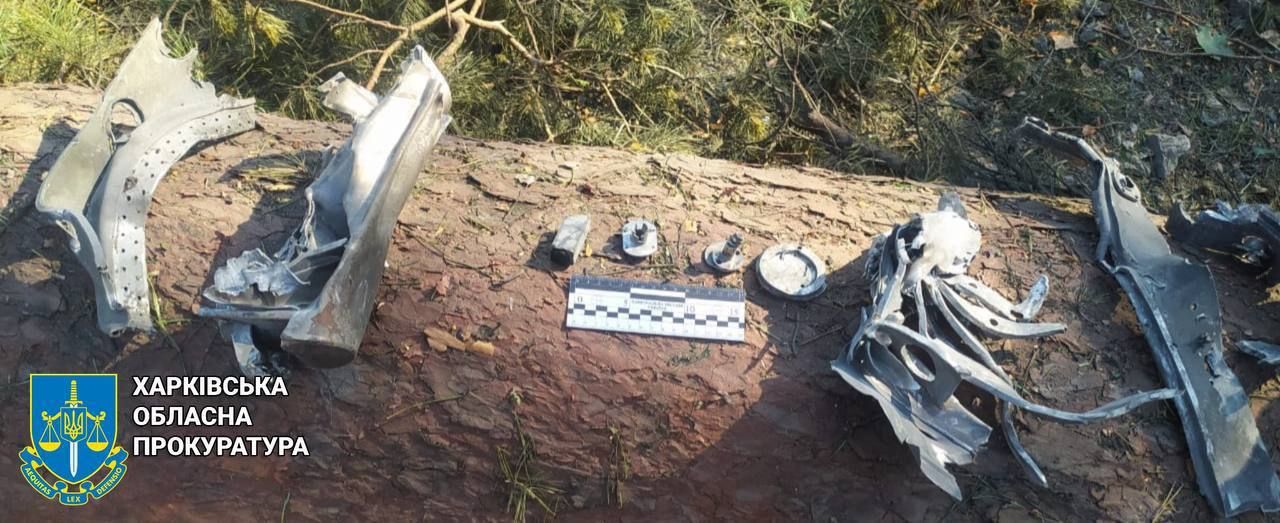 Россия ракетами С-300 ударила по базе отдыха в Харьковской области: подробности и фото последствий атаки 4