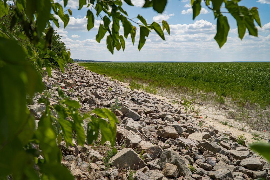 Лес на месте водохранилища Лес на месте водохранилища