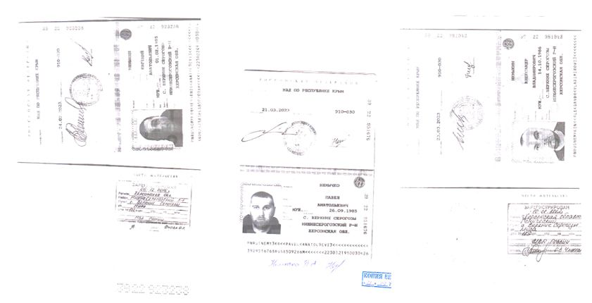 Скільки врожаю з окупації не зібрала Україна? Федеральна система Зерно в окупованій Херсонщині 7