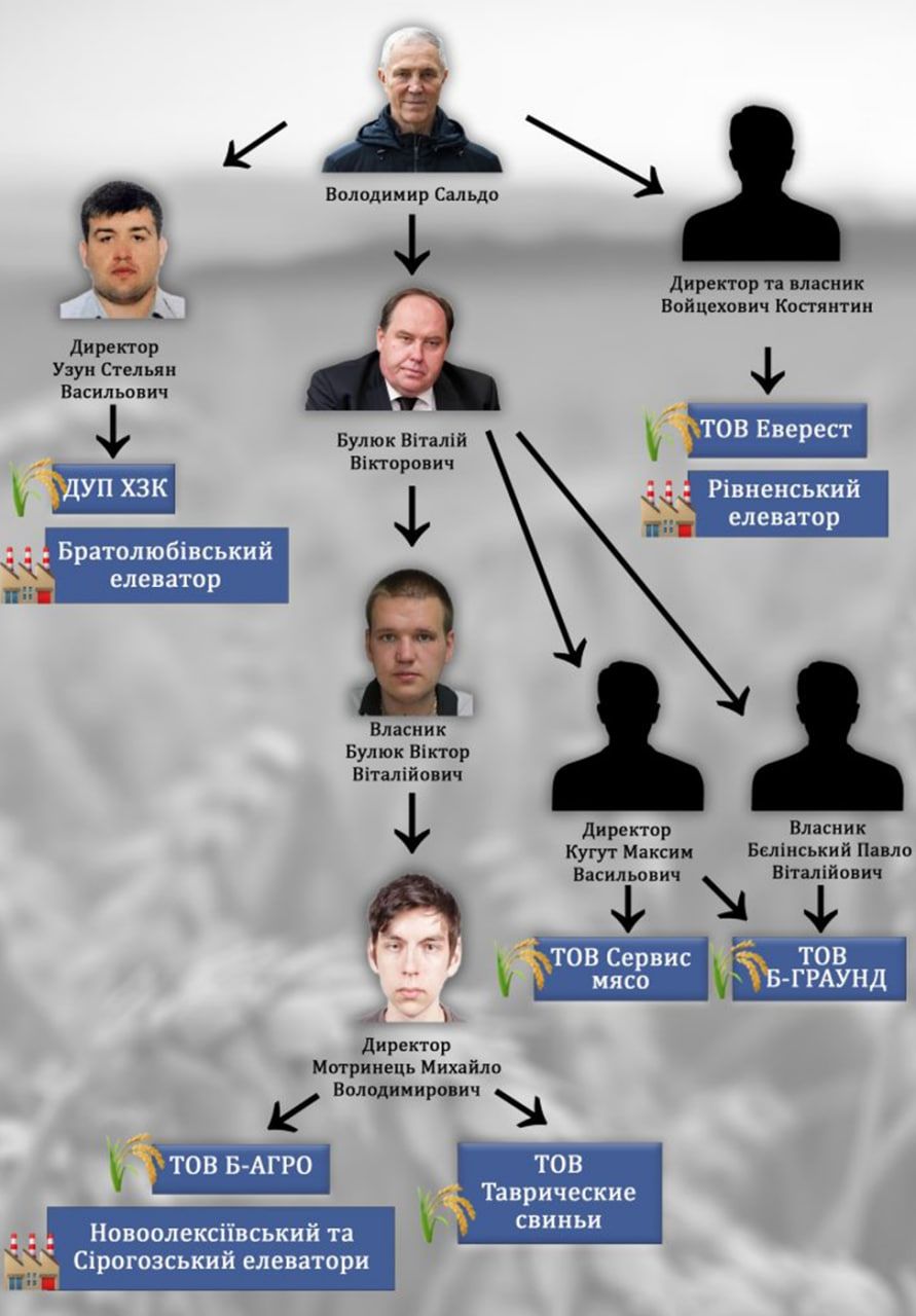 Скільки врожаю з окупації не зібрала Україна? Федеральна система Зерно в окупованій Херсонщині 11