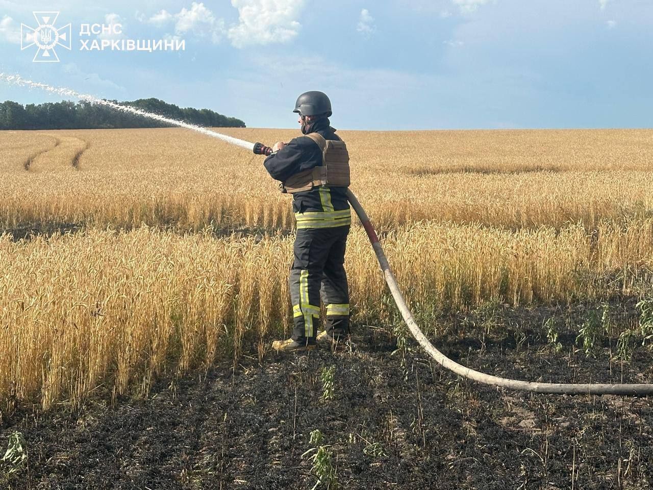 Пожарные спасают урожай Пожарные спасают урожай