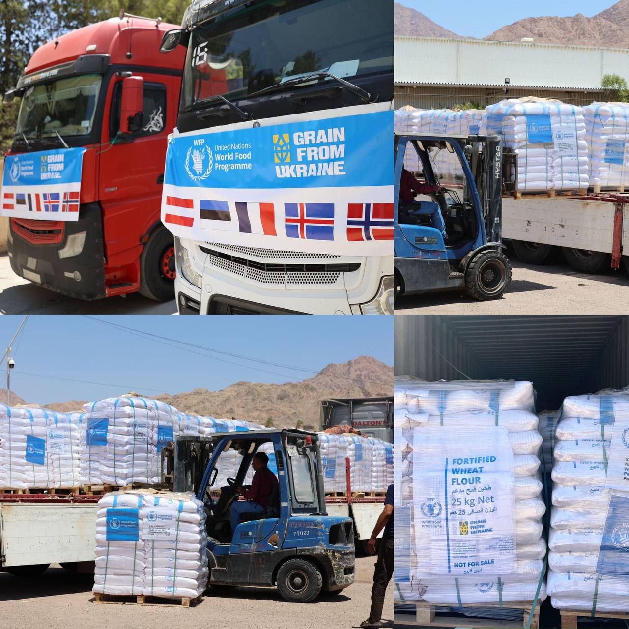 Украина поможет накормить 100 тыс семей в Палестине, – Ермак 1