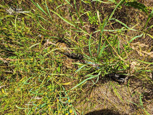 Статистика впечатляет: в ГСЧС назвали количество мин и снарядов, которые обезвредили саперы 1