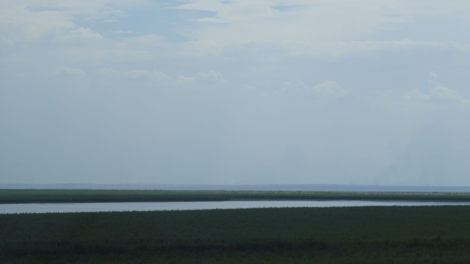 Великий луг. Минулого року на місці лісу було водосховище Великий луг. Минулого року на місці лісу було водосховище