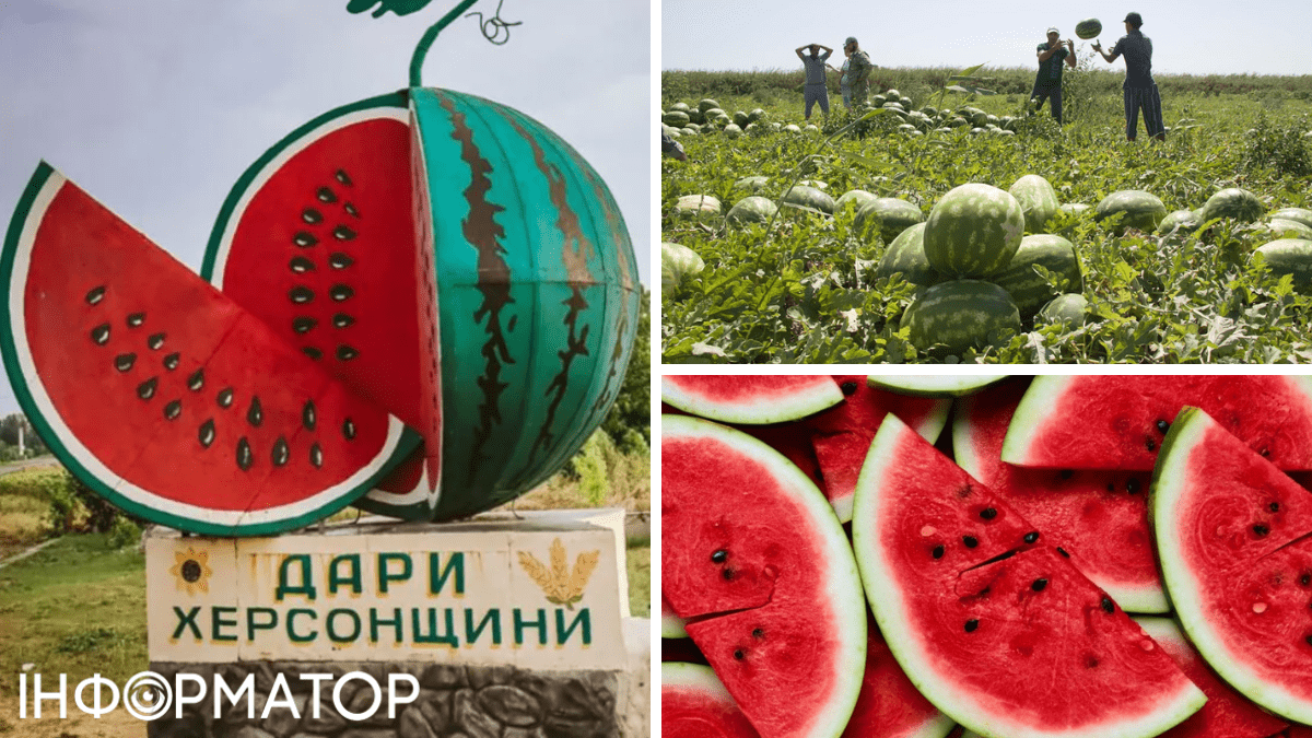 кавун, збір кавунів, херсонський кавун, пам'ятник кавуну