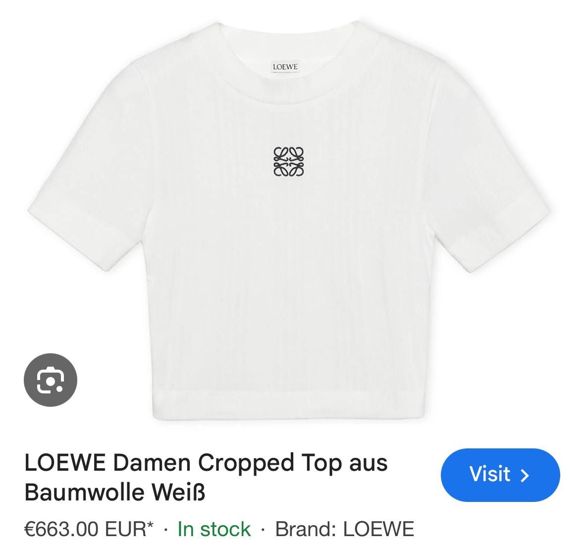 Дружина Реброва прилетіла з Іспанії в Київ та вигуляла наряд на 2 мільйони гривень 1