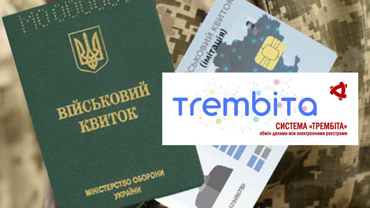 Государственная электронная система «Трембита»