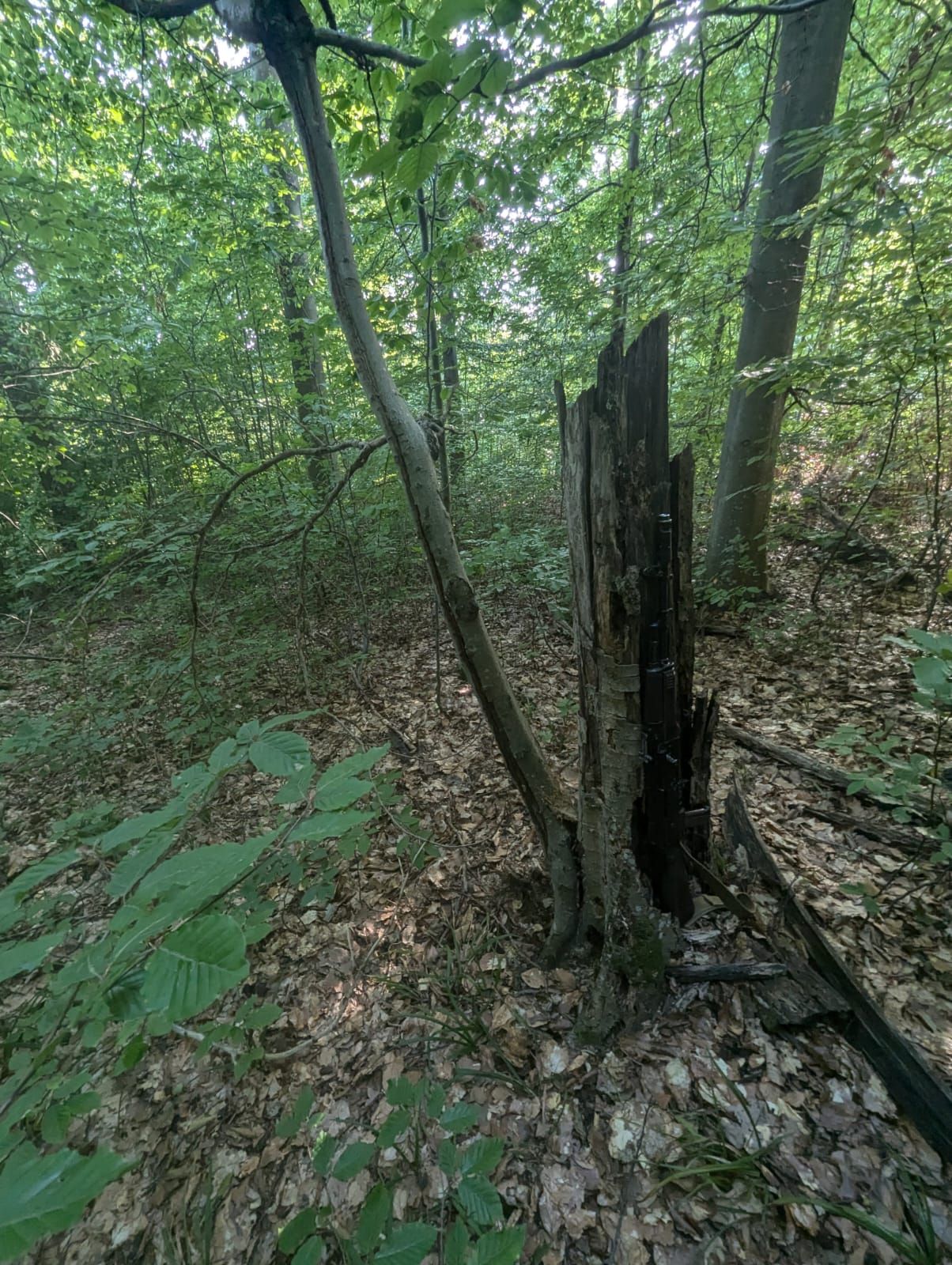 Місце, де ховали зброю Місце, де ховали зброю