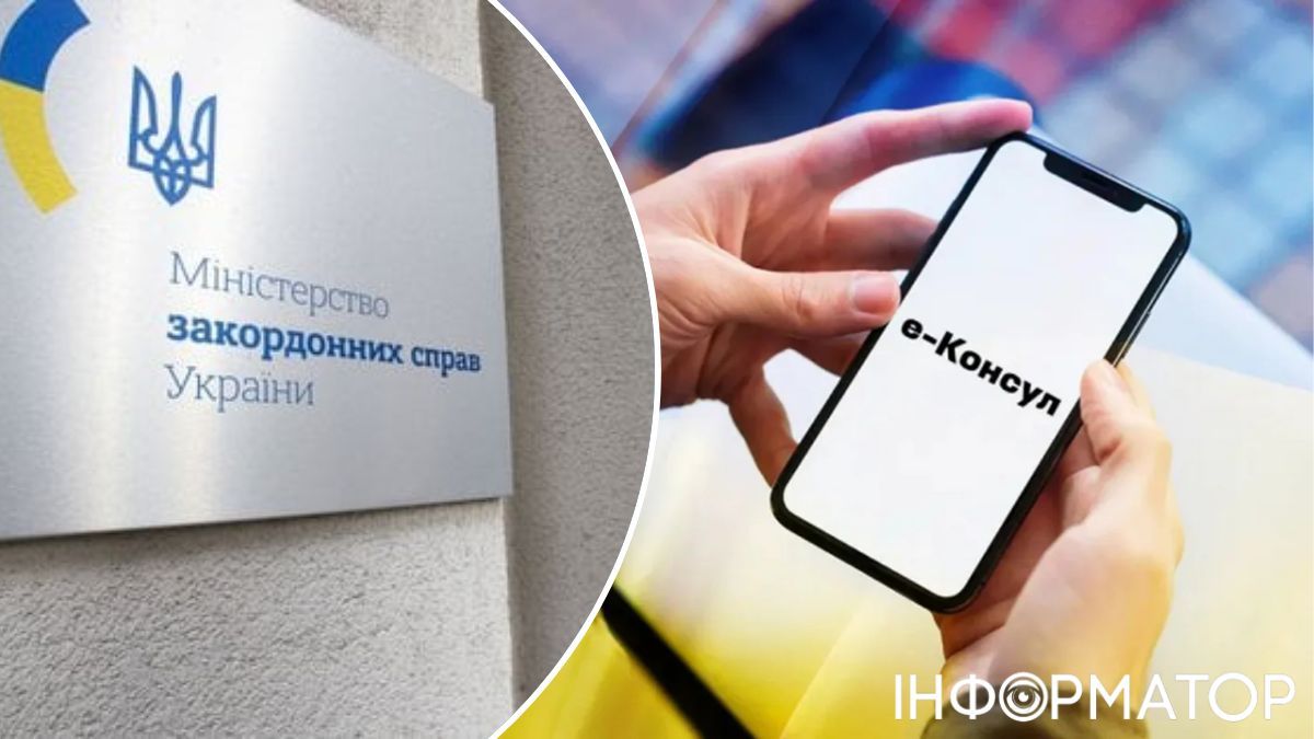 Система "е-консул"