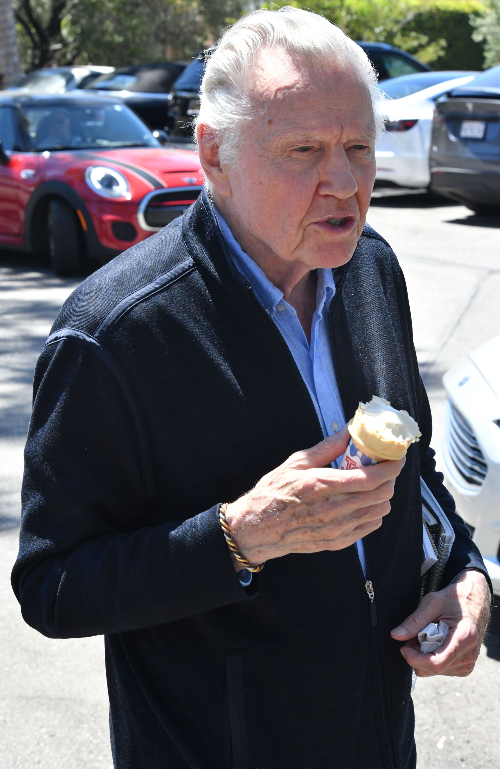 Джон Войт. Фото: Getty Images Джон Войт. Фото: Getty Images