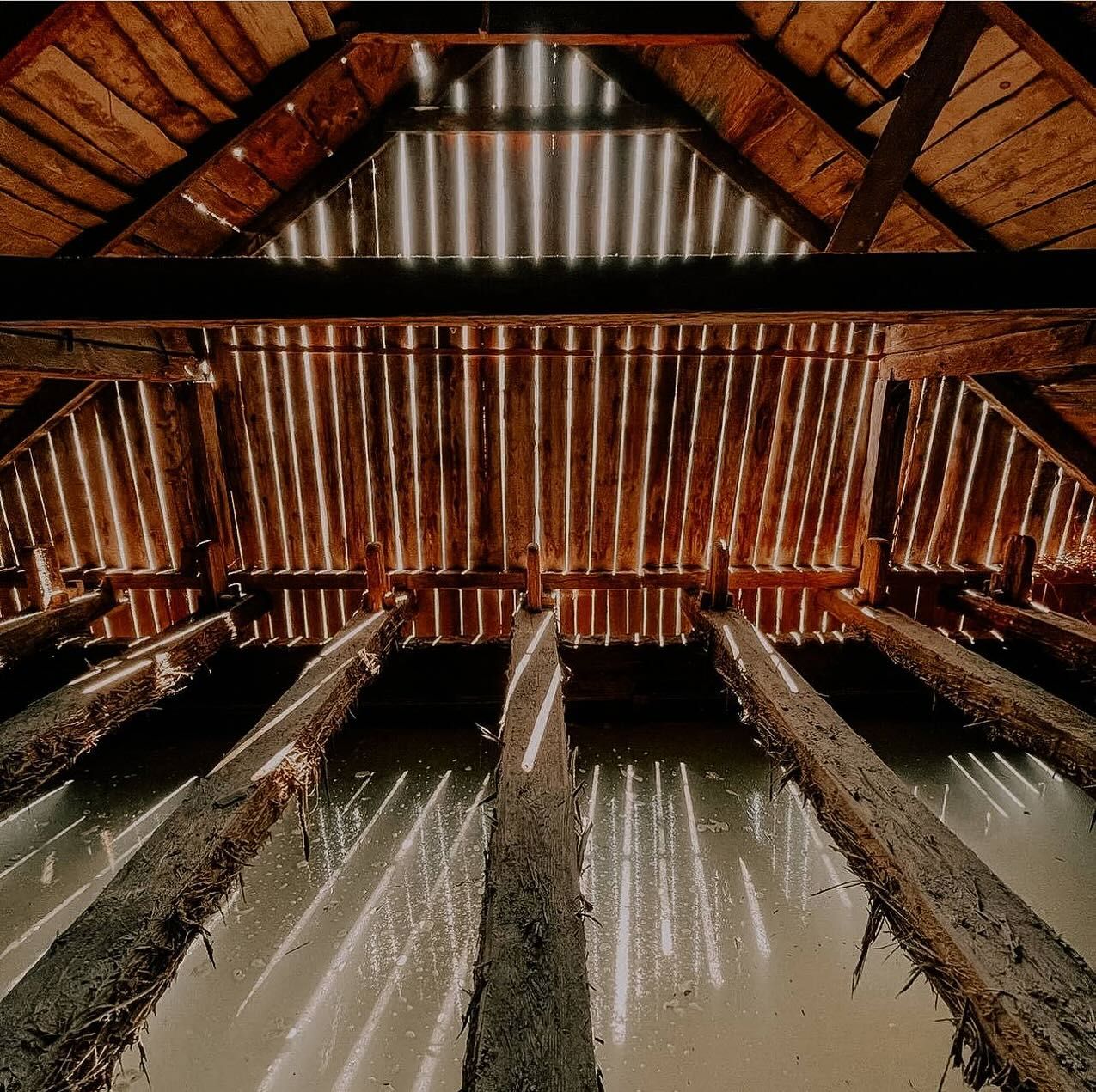 Легендарну Дрогобицьку солеварню, найдавніше підприємство України, виставили на приватизацію 9