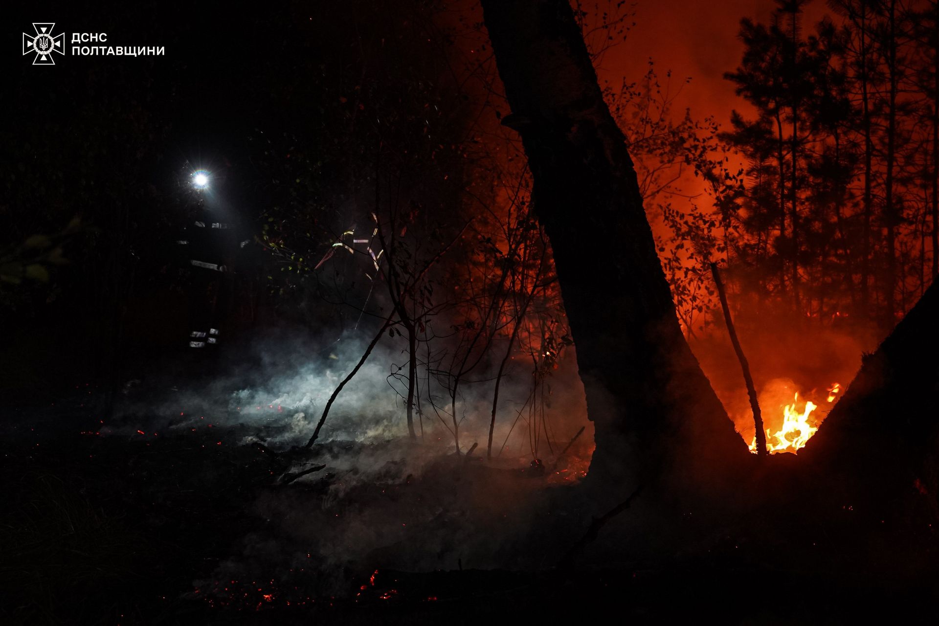 Пожежі на Полтавщині Пожежі на Полтавщині