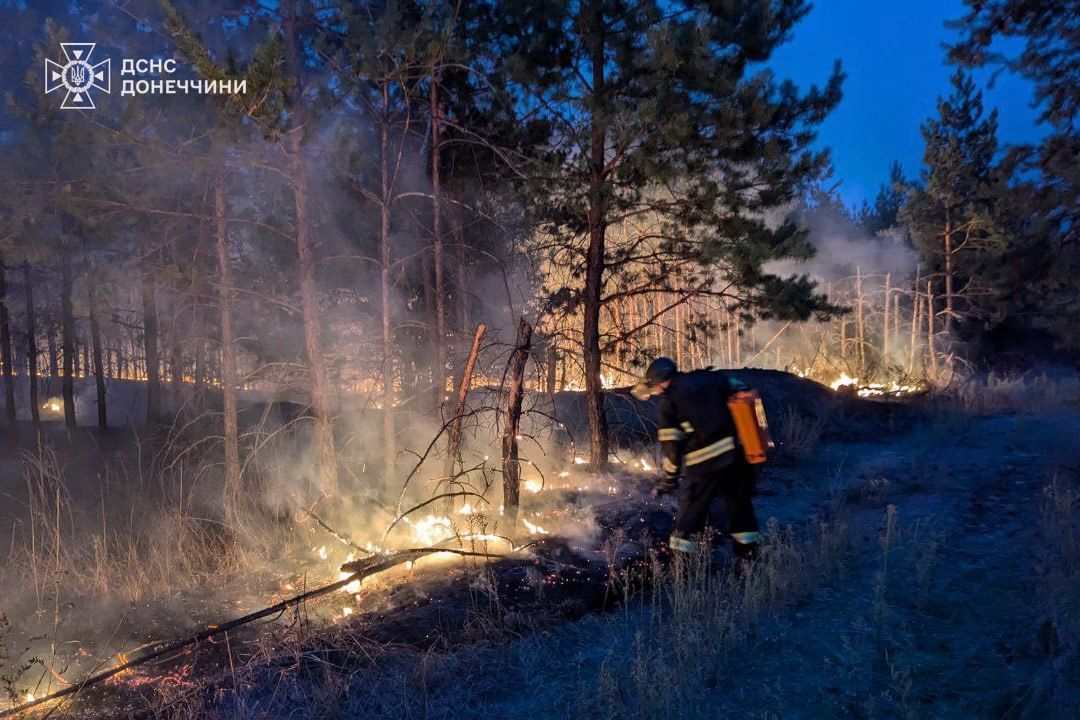 Пожежі на Донеччині Пожежі на Донеччині