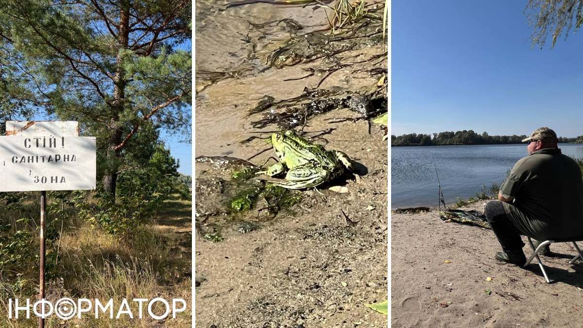 Десна в пригородах Киева Десна в пригородах Киева